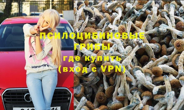 кокаин Белокуриха