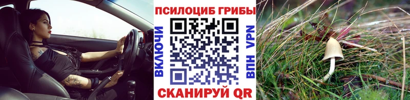 OMG ссылка  цена наркотик  Гулькевичи  Псилоцибиновые грибы Psilocybine cubensis 
