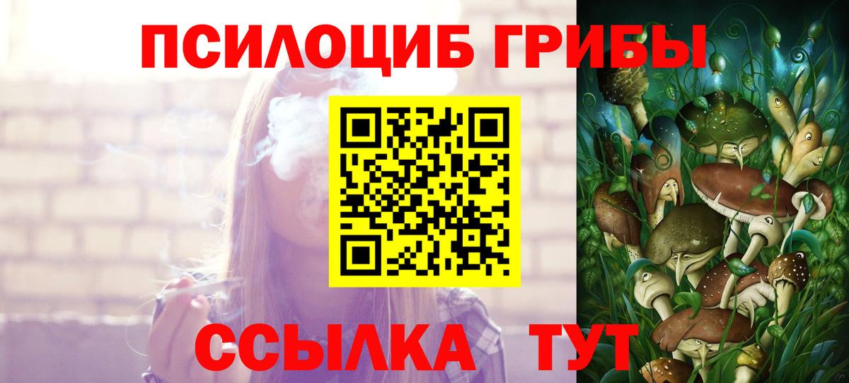 Псилоцибиновые грибы MAGIC MUSHROOMS Гулькевичи